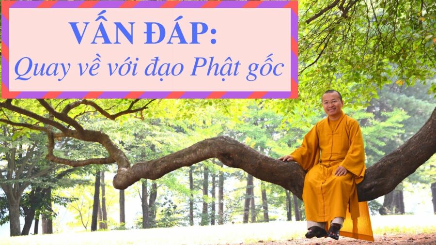 Vấn đáp: Quay về với đạo Phật gốc – Thích Nhật Từ