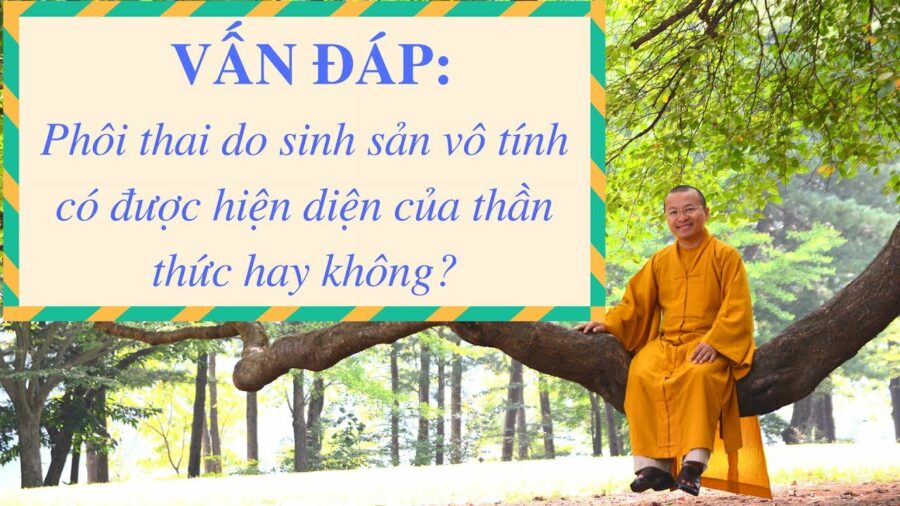 Vấn đáp: Sinh sản vô tính – Thích Nhật Từ