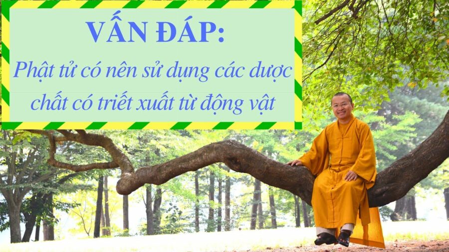 Vấn đáp: Sử dụng các dược chất có triết xuất từ động vật – Thích Nhật Từ