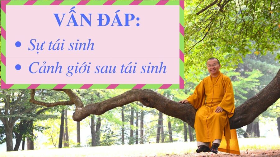 Vấn đáp: Sự tái sinh, cảnh giới sau tái sinh – Thích Nhật Từ