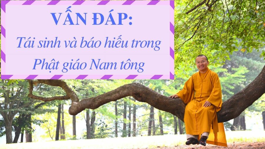 Vấn đáp: Tái sinh và báo hiếu – Thích Nhật Từ