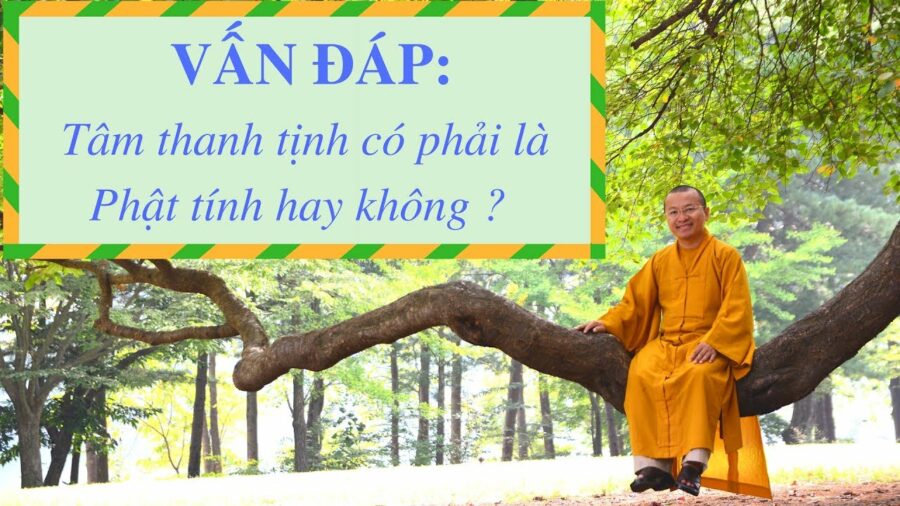 Vấn đáp: Tâm thanh tịnh có phải là Phật tính hay không? – Thích Nhật Từ