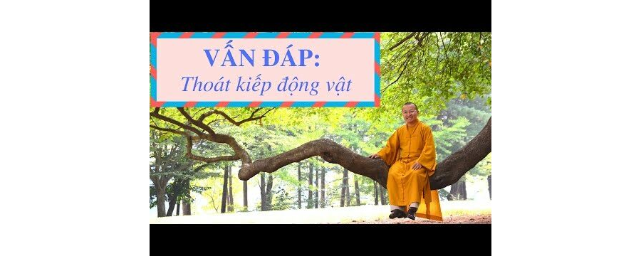 Vấn đáp: Thoát kiếp động vật – Thích Nhật Từ