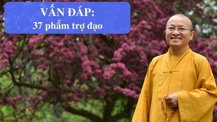 Vấn đáp: Thuyết Pháp 37 phẩm trợ đạo – Thích Nhật Từ