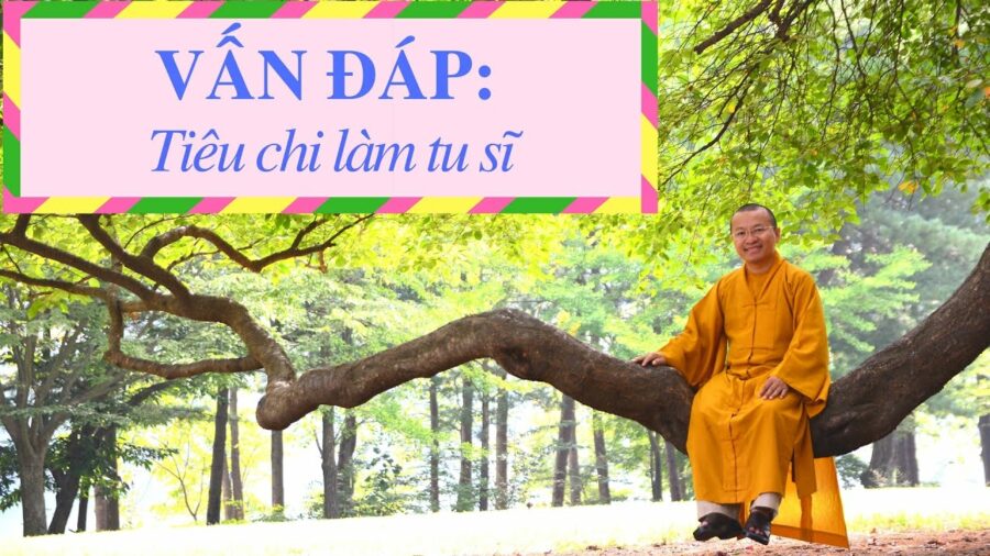 Vấn đáp: Tiêu chi làm tu sĩ – Thích Nhật Từ