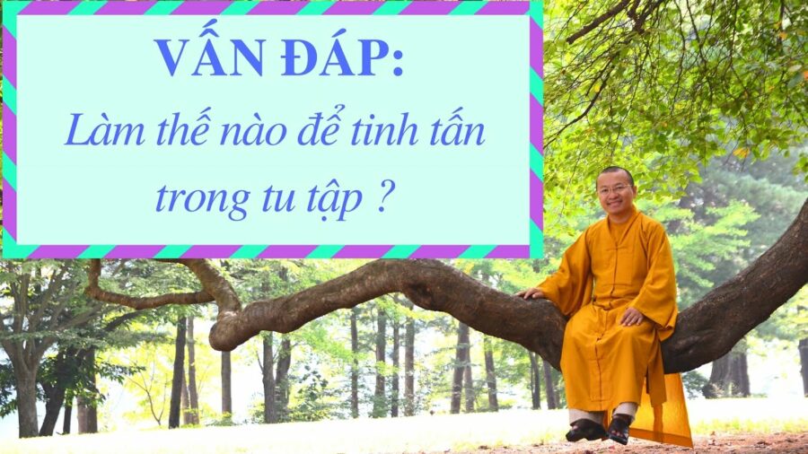 Vấn đáp: Tinh tấn trong tu tập – Thích Nhật Từ