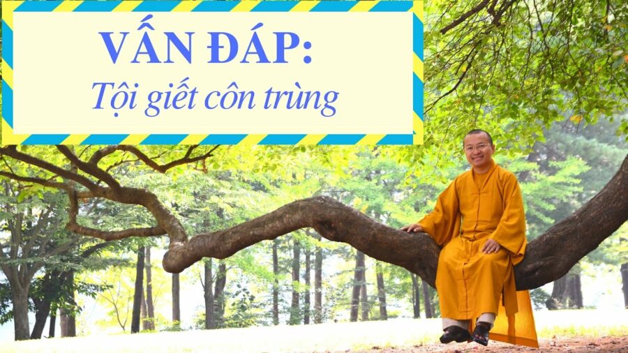 Vấn đáp: Tội giết côn trùng – Thích Nhật Từ