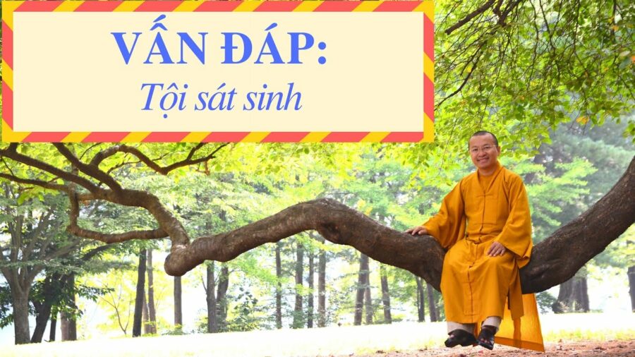 Vấn đáp: Tội sát sinh – Thích Nhật Từ