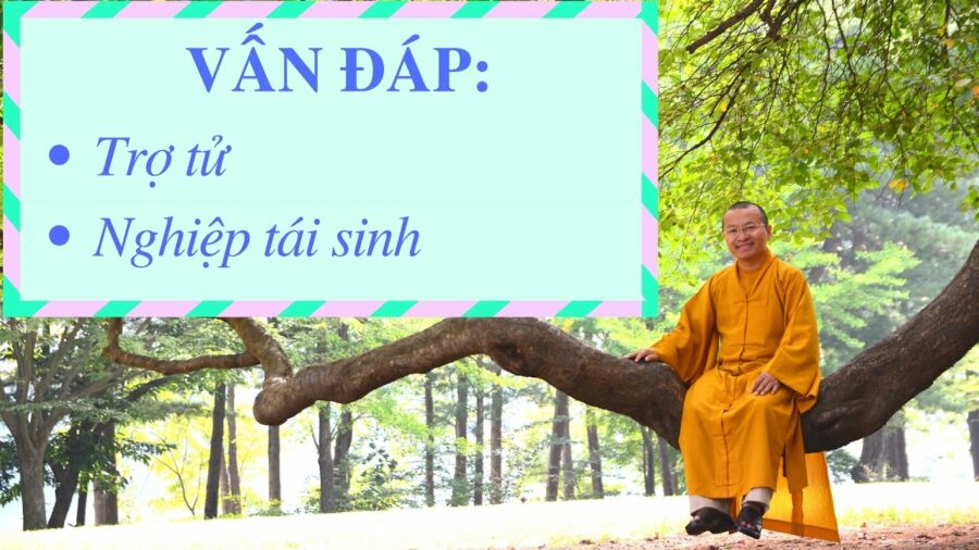 Vấn đáp: Trợ tử, nghiệp tái sinh – Thích Nhật Từ