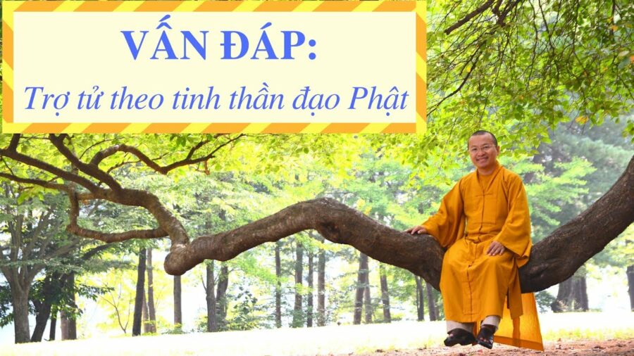 Vấn đáp: Trợ tử theo tinh thần đạo Phật – Thích Nhật Từ