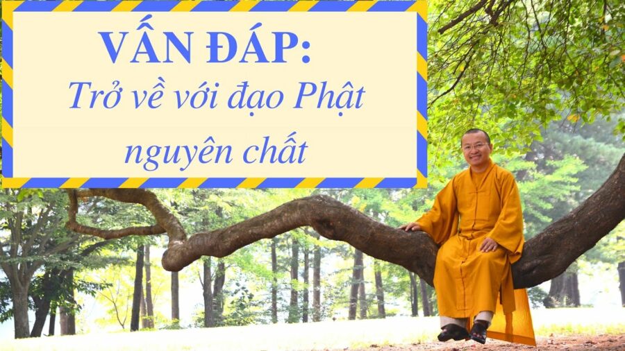 Vấn đáp: Trở về với đạo Phật nguyên chất – Thích Nhật Từ