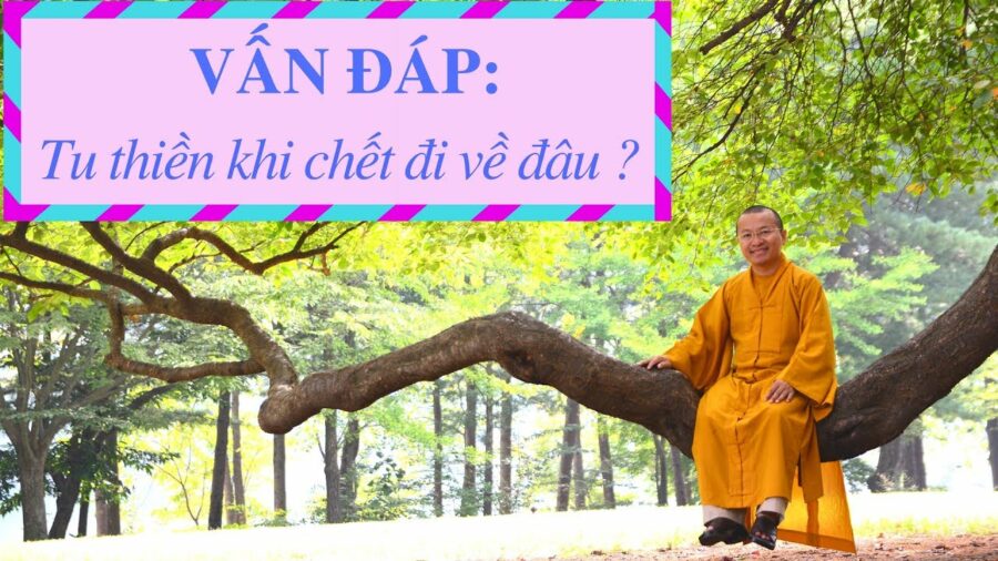 Vấn đáp: Tu thiền, tịnh độ khi chết đi về đâu – Thích Nhật Từ