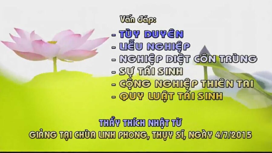 Vấn đáp: Tùy duyên, liễu nghiệp, nghiệp diệt côn trùng, sự tái sinh, cộng nghiệp thiên tai, quy luật tái sinh - Thích Nhật Từ