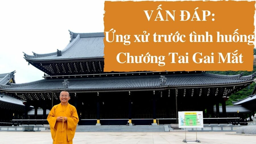 Vấn đáp: Ứng xử trước tình huống chướng tai gai mắt – Thích Nhật Từ