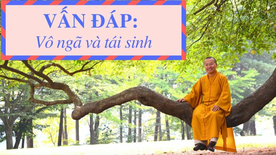 Vấn đáp: Vô ngã và tái sinh – Thích Nhật Từ