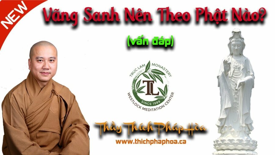 Vãng Sanh Nên Theo Phật Nào - ĐĐ. Thích Pháp Hòa