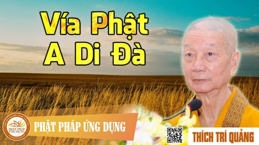 Vía Phật A Di Đà – Thích Trí Quảng