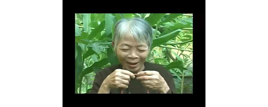 Vui Buồn Mùa Xuân – Thích Chân Tính