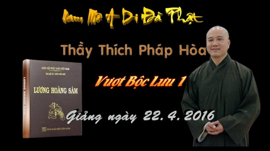 Vượt Bộc Lưu 1 – Đại Đức Thích Pháp Hòa