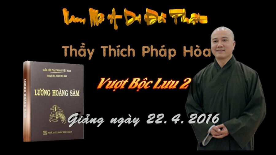 Vượt Bộc Lưu 2 – Đại Đức Thích Pháp Hòa