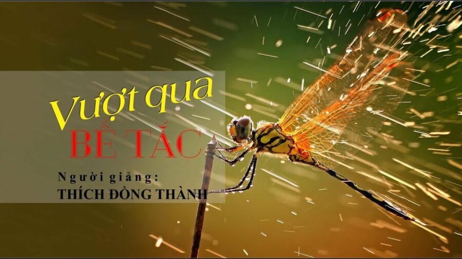 Vượt Qua Bế Tắc – Thầy Thích Đồng Thành