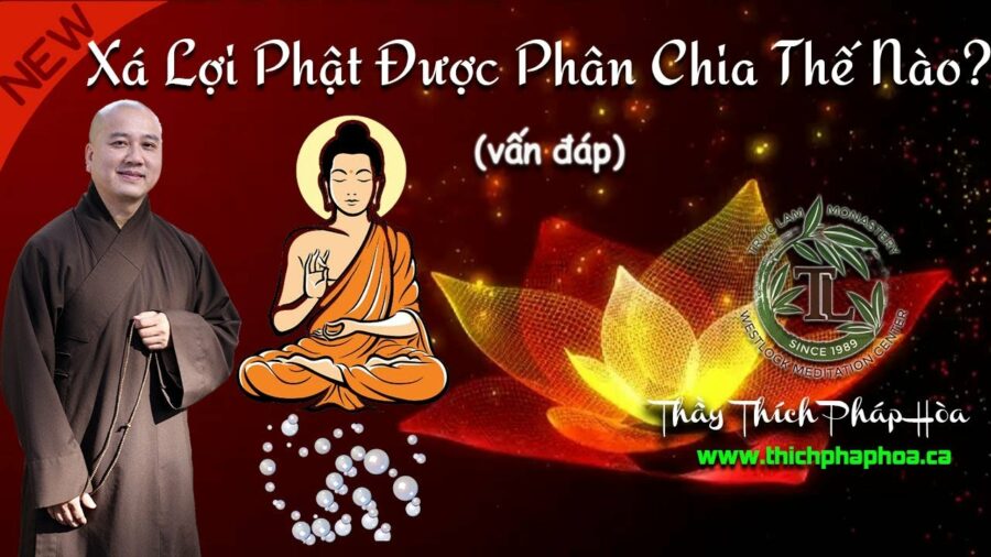 Xá Lợi Phật Được Phân Chia Thế Nào? - ĐĐ. Thích Pháp Hòa