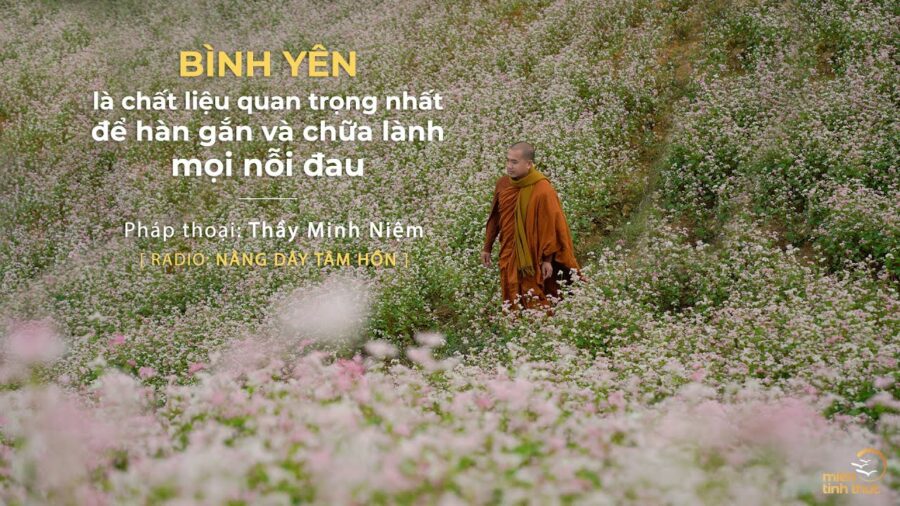 Bình yên là chất liệu quan trọng nhất để hàn gắn và chữa lành mọi nỗi đau - TS. Thích Minh Niệm